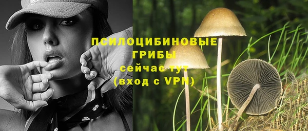 бутират Магадан