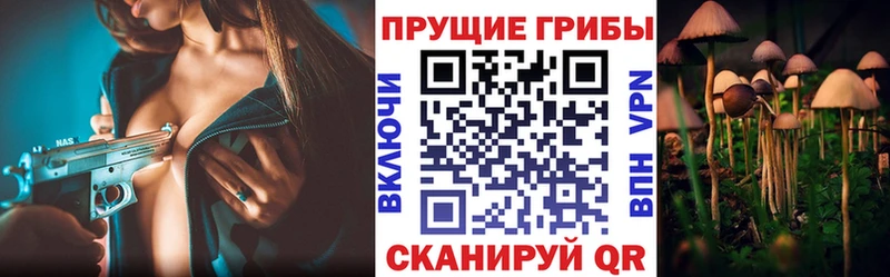 Галлюциногенные грибы Psilocybine cubensis  Купить где  Корсаков 